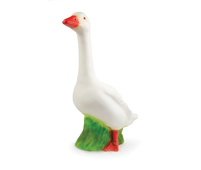 DL-G15-Stuff-Kids-goose