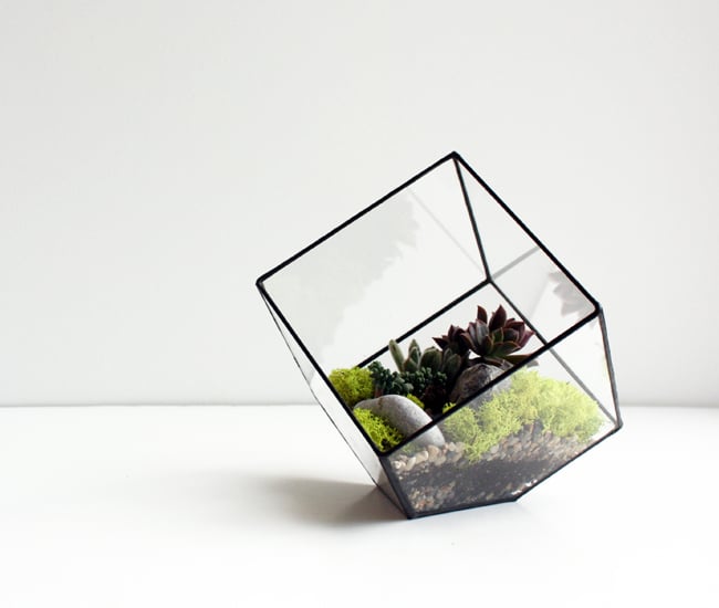 Crown Flora Studio