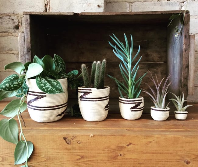 Urban Gardener Toronto