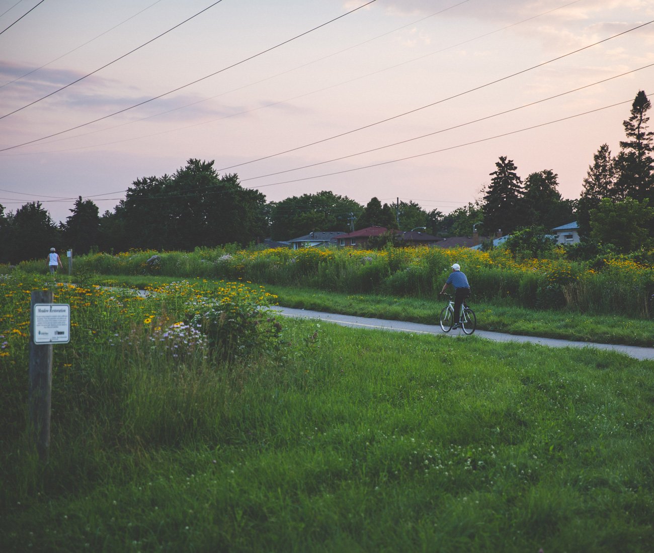 the meadoway 