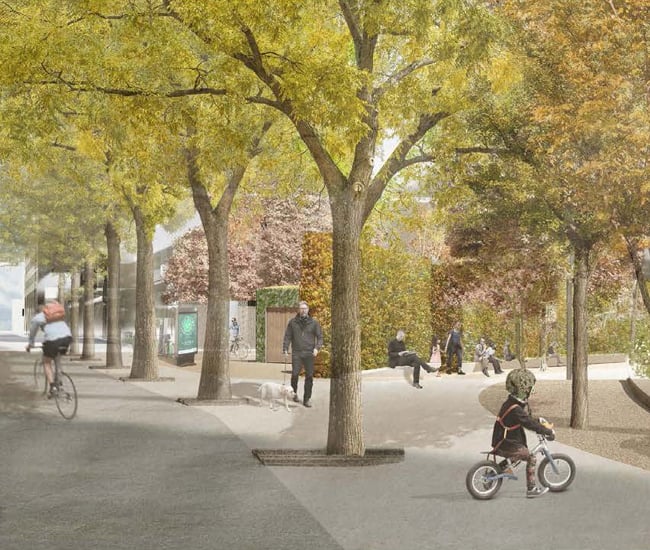 York Forest Designed by: Stephen Stimson Associates Landscape Architects + MJMA