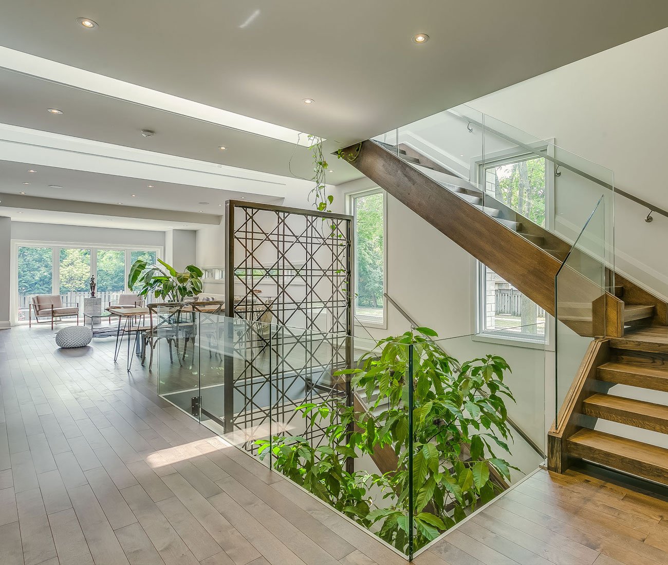 Vibrant foliage shoots up through a gap in the main floor of a house