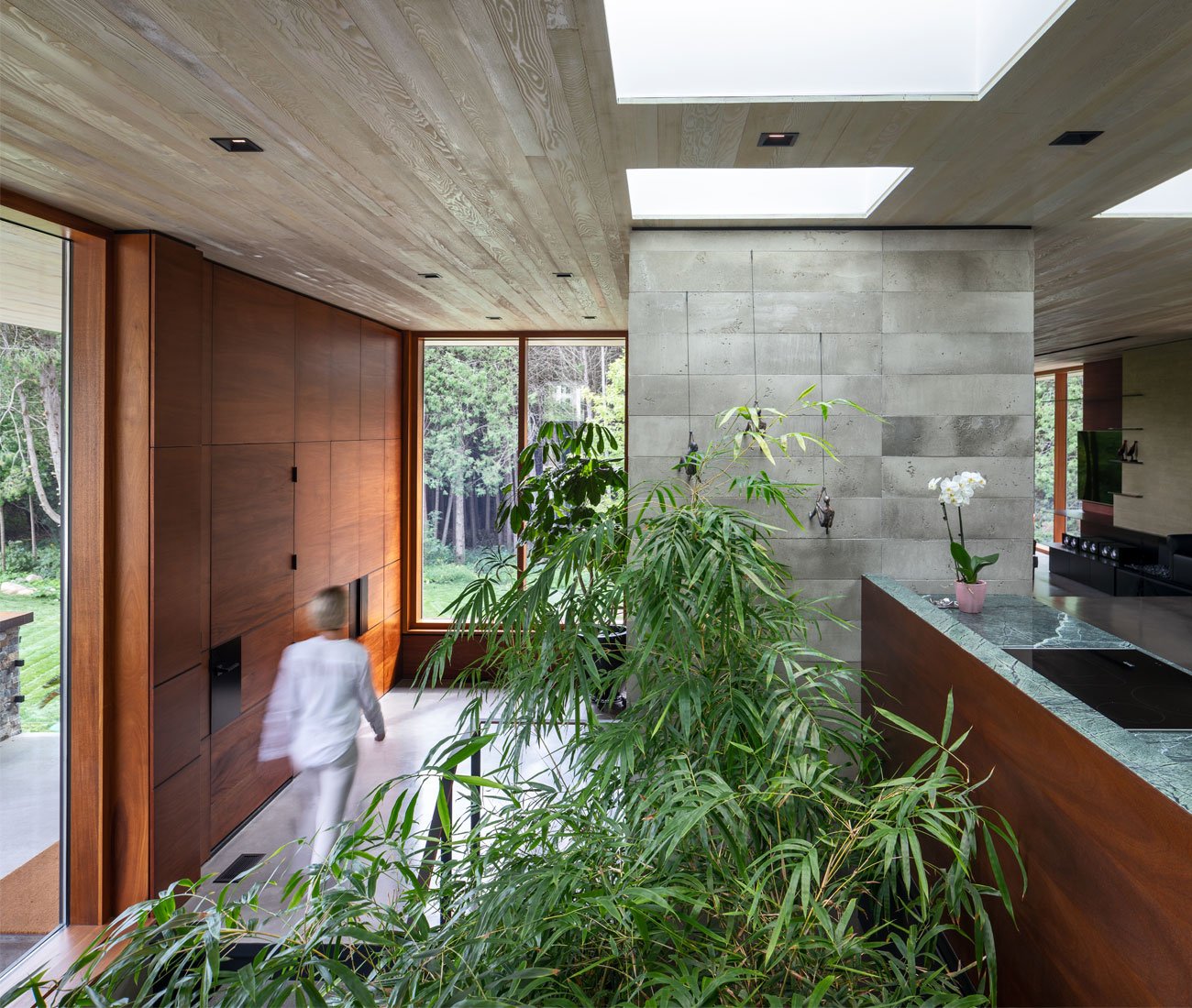 Bamboo trees growing in an indoor garden of a modern house
