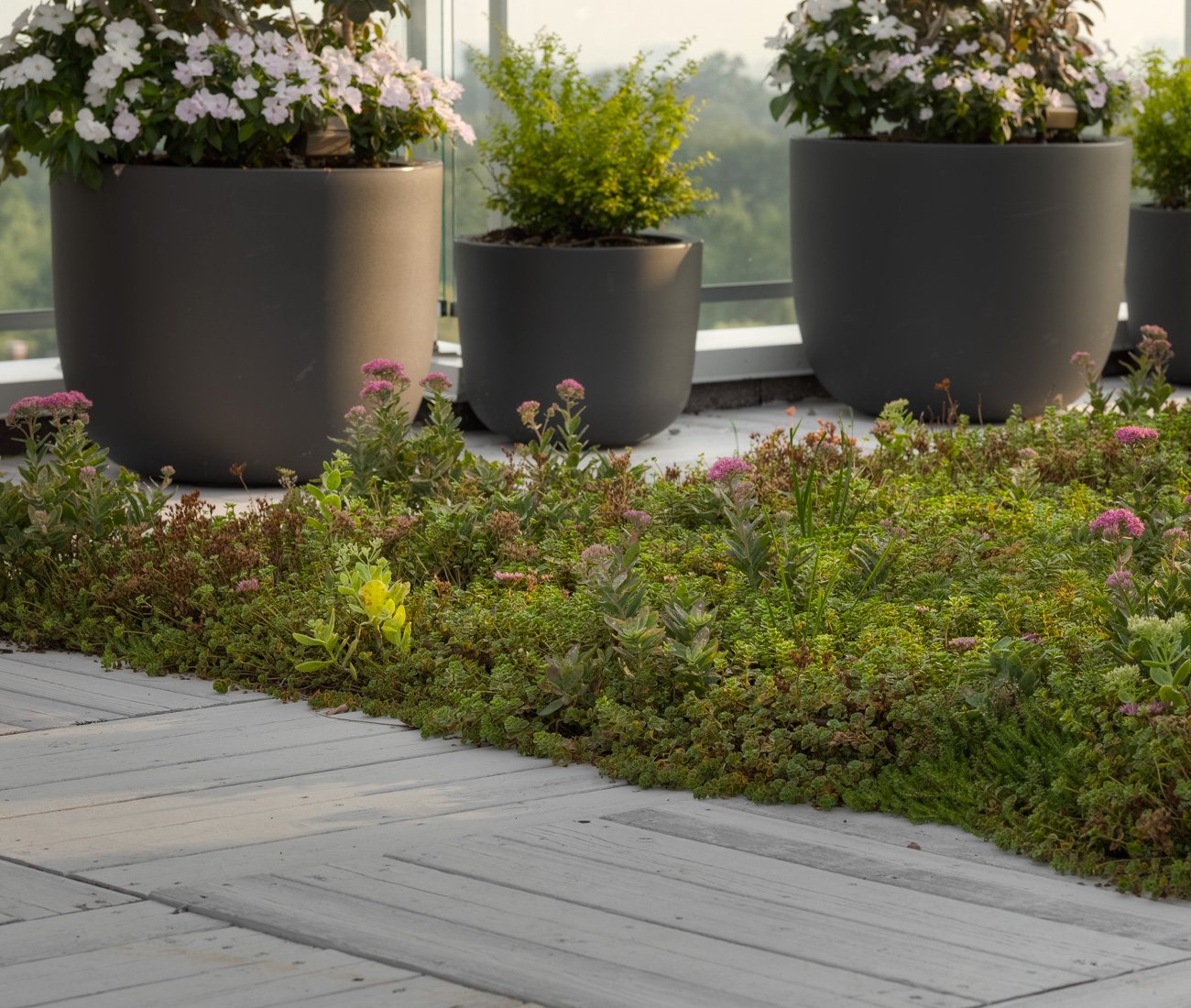 Janet Rosenberg & Studio transformed a 125-square-metre penthouse terrace