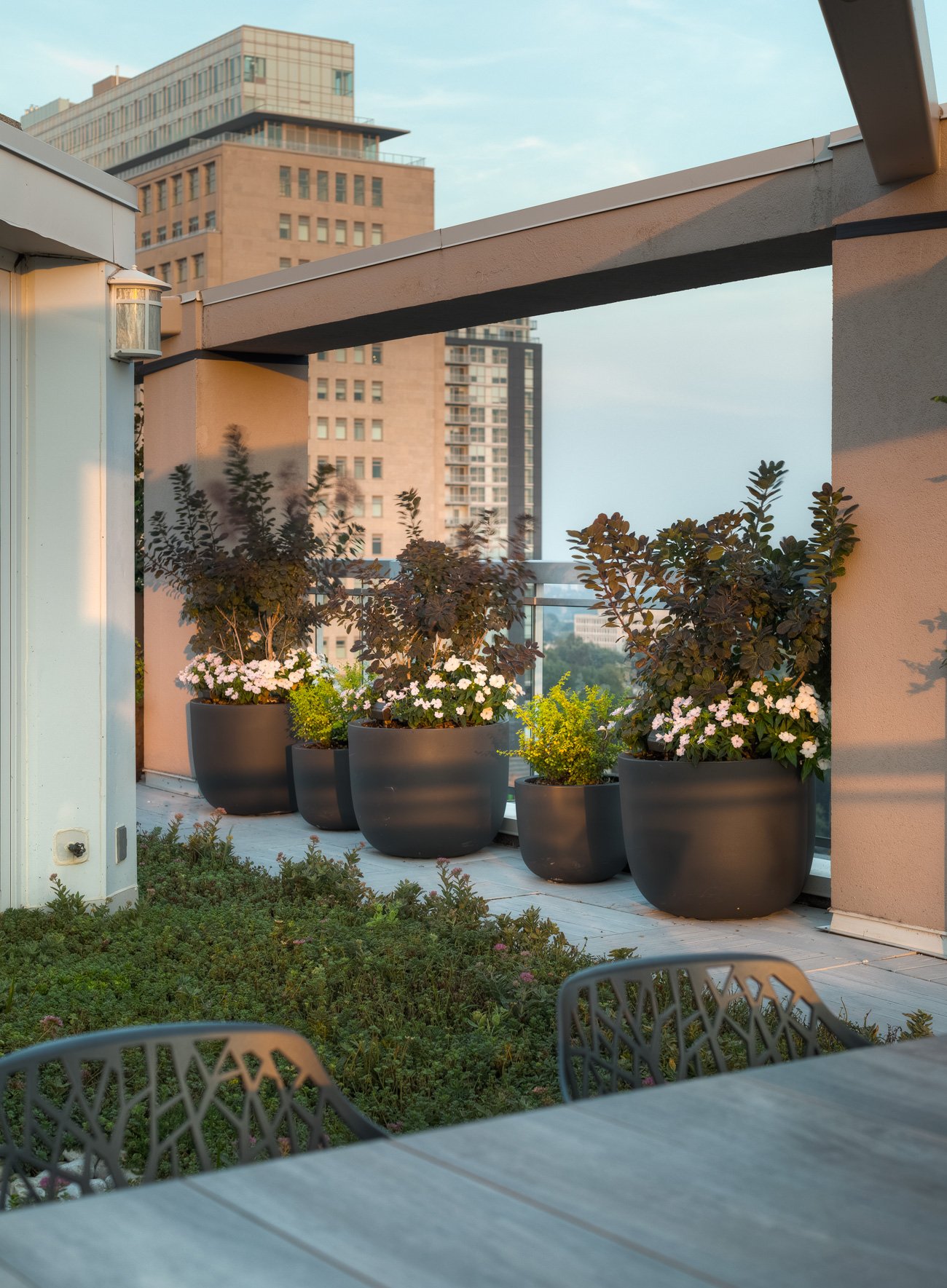 Janet Rosenberg & Studio transformed a 125-square-metre penthouse terrace