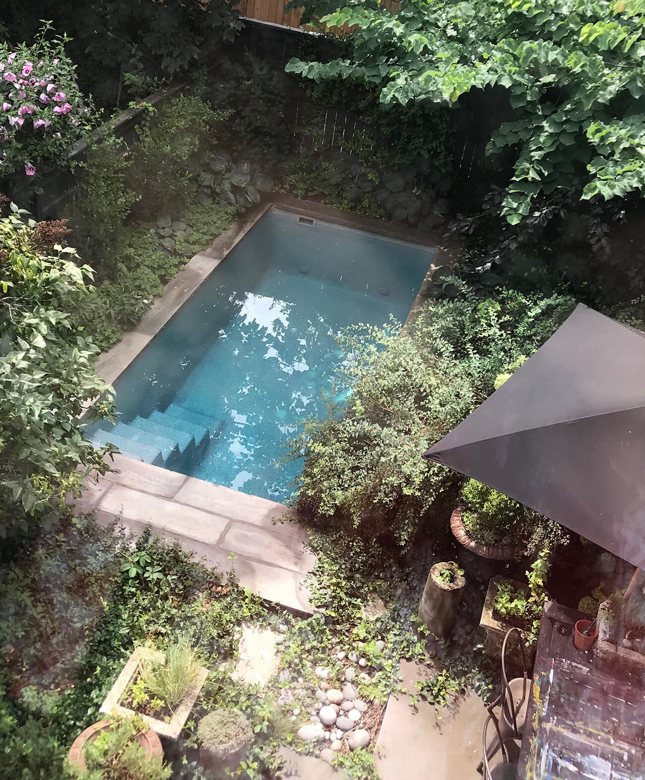 saltwater plunge pool