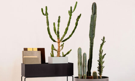 indoor planter ideas