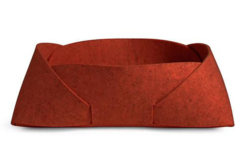 modern pet accessories
