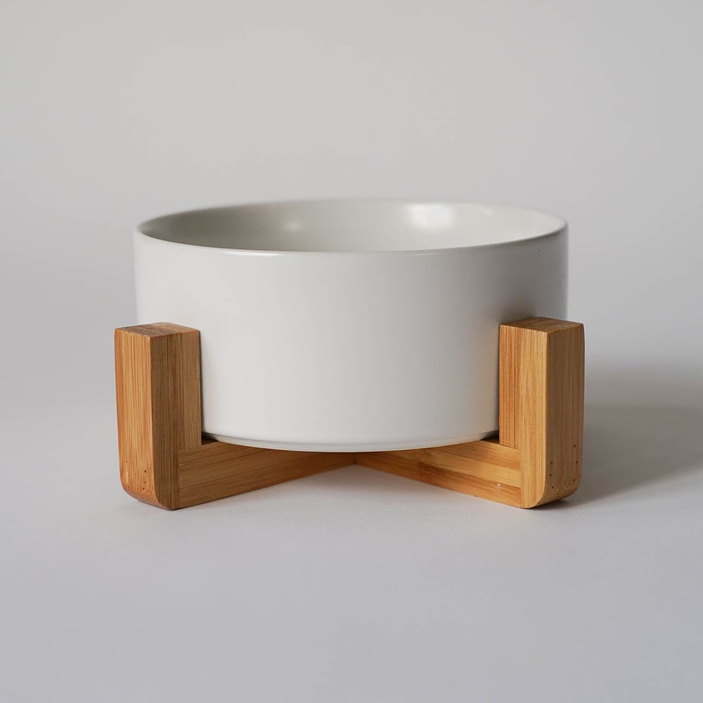 modern pet accessories