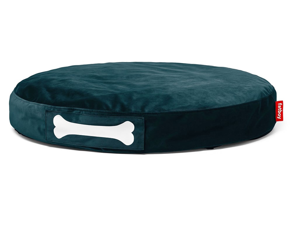 modern pet accessories