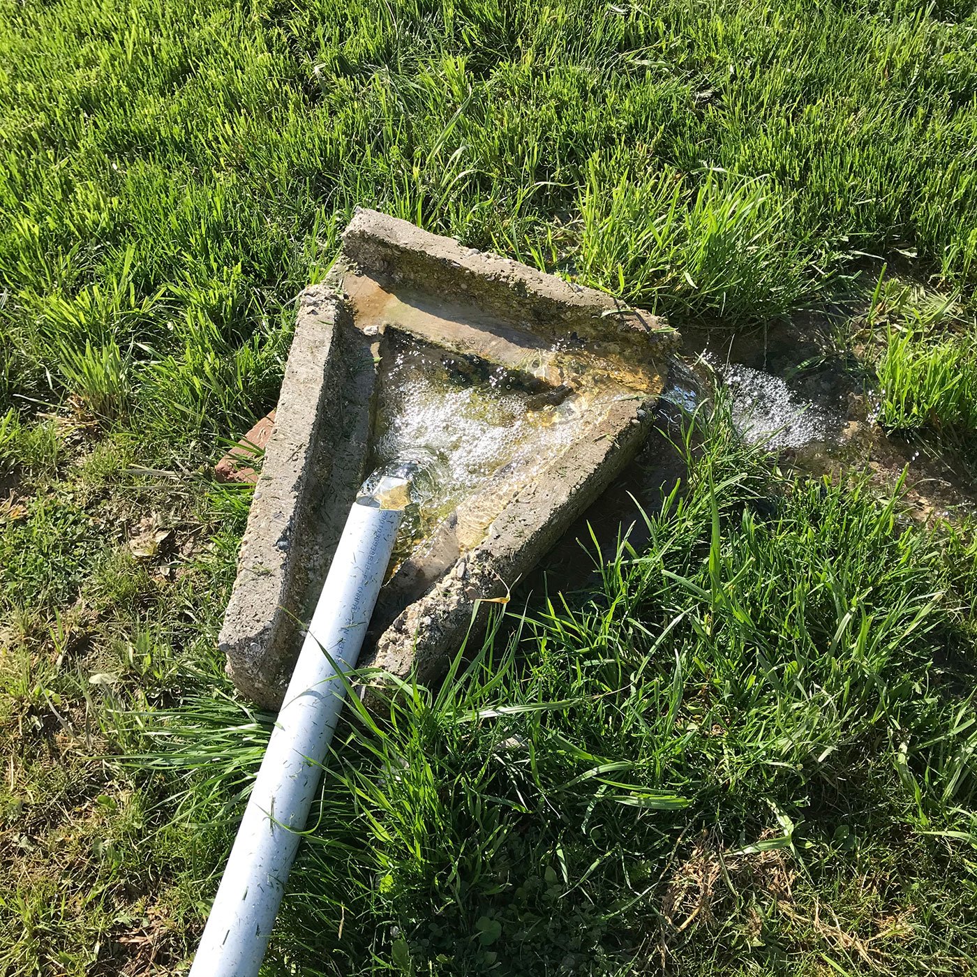 water runoff makes for an ideal rustic bird bath