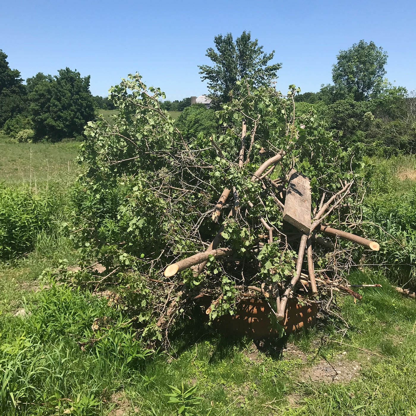 Pile of tree brunches. Building a Natural Garden