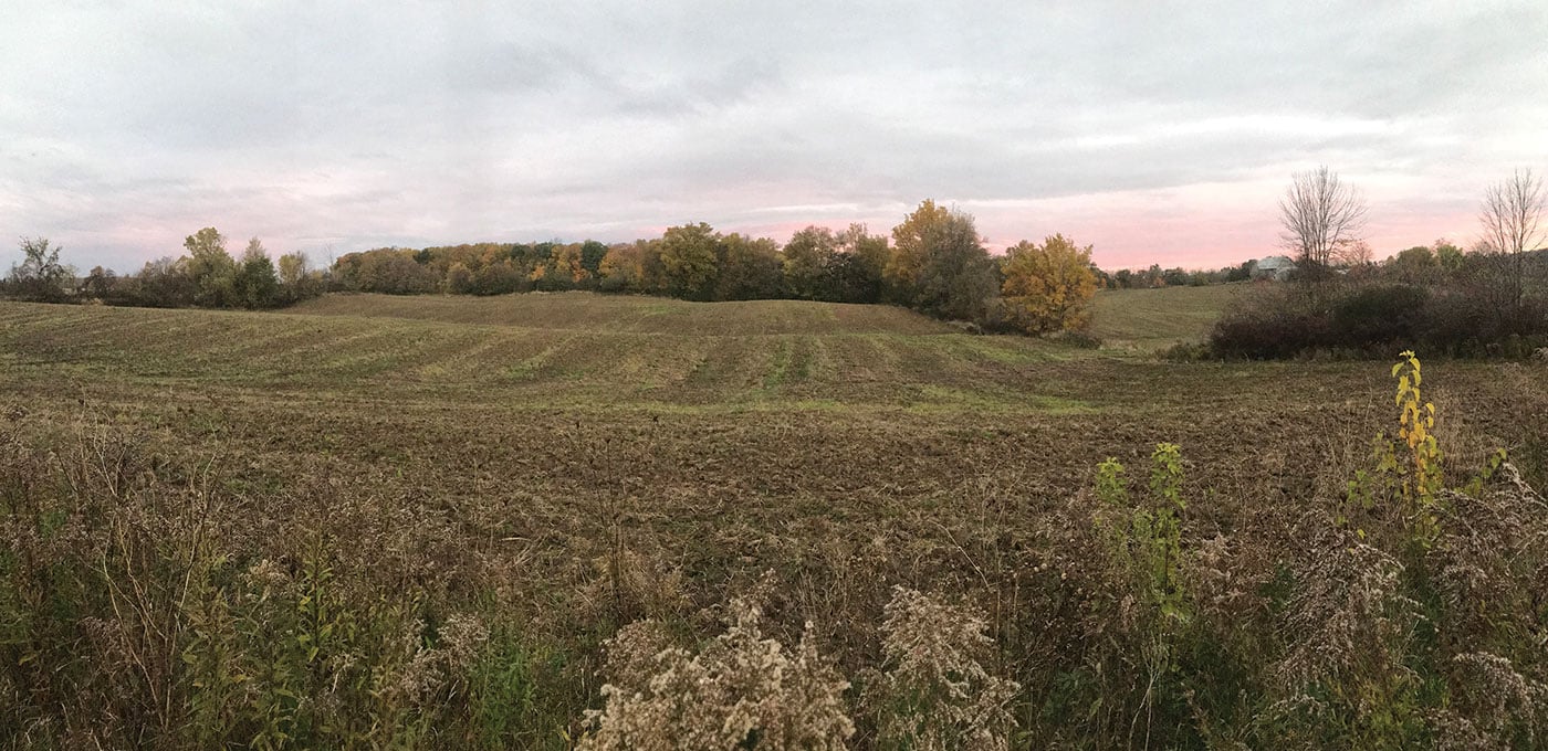 Country landscape