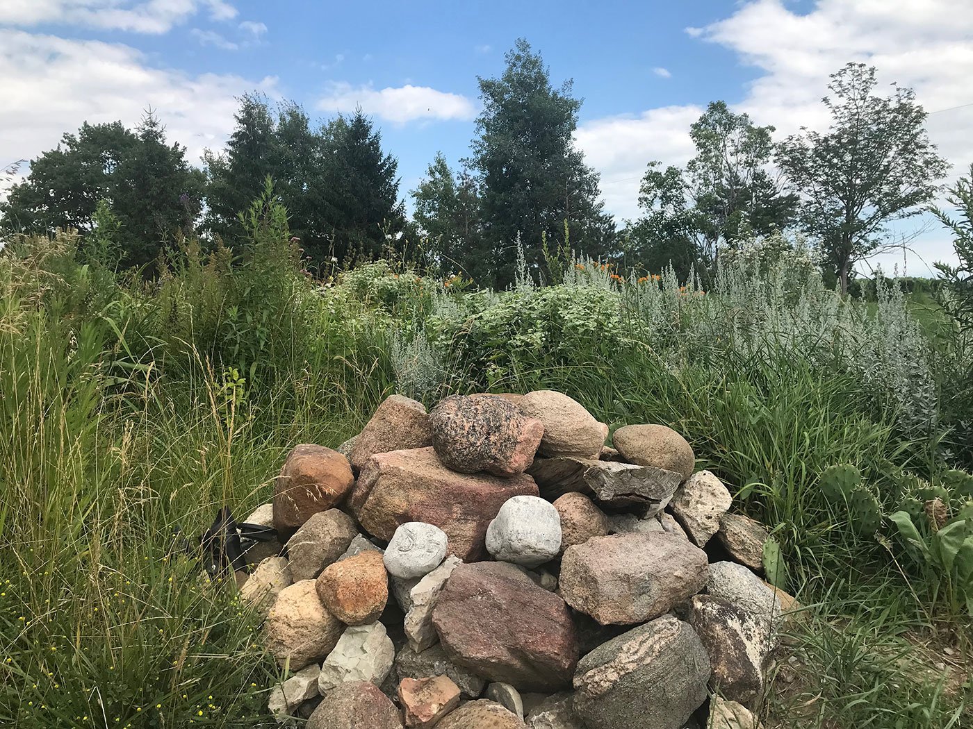 snake hibernaculum