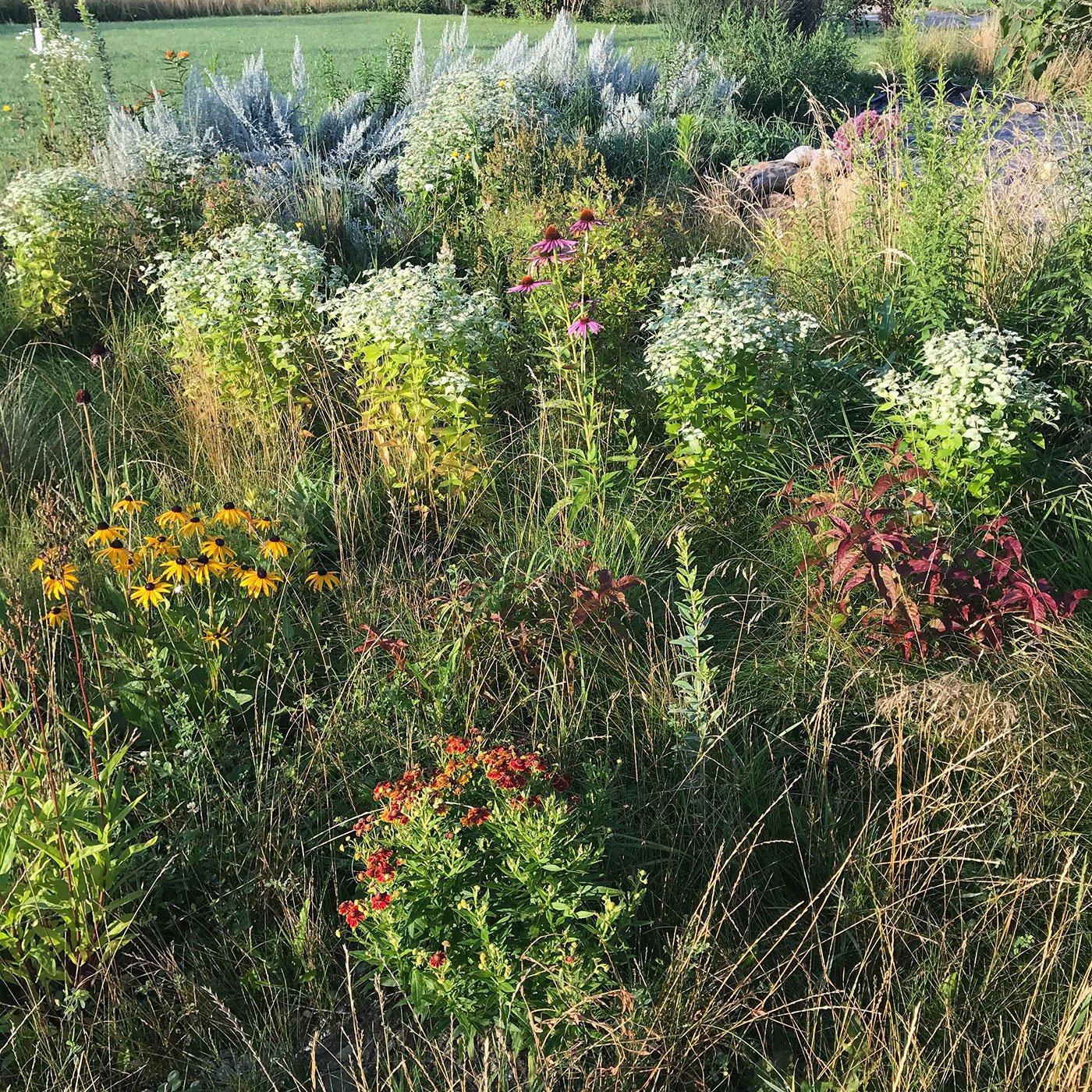 plant diversity in a landscape, Building a Natural Garden