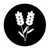 harvest graphics