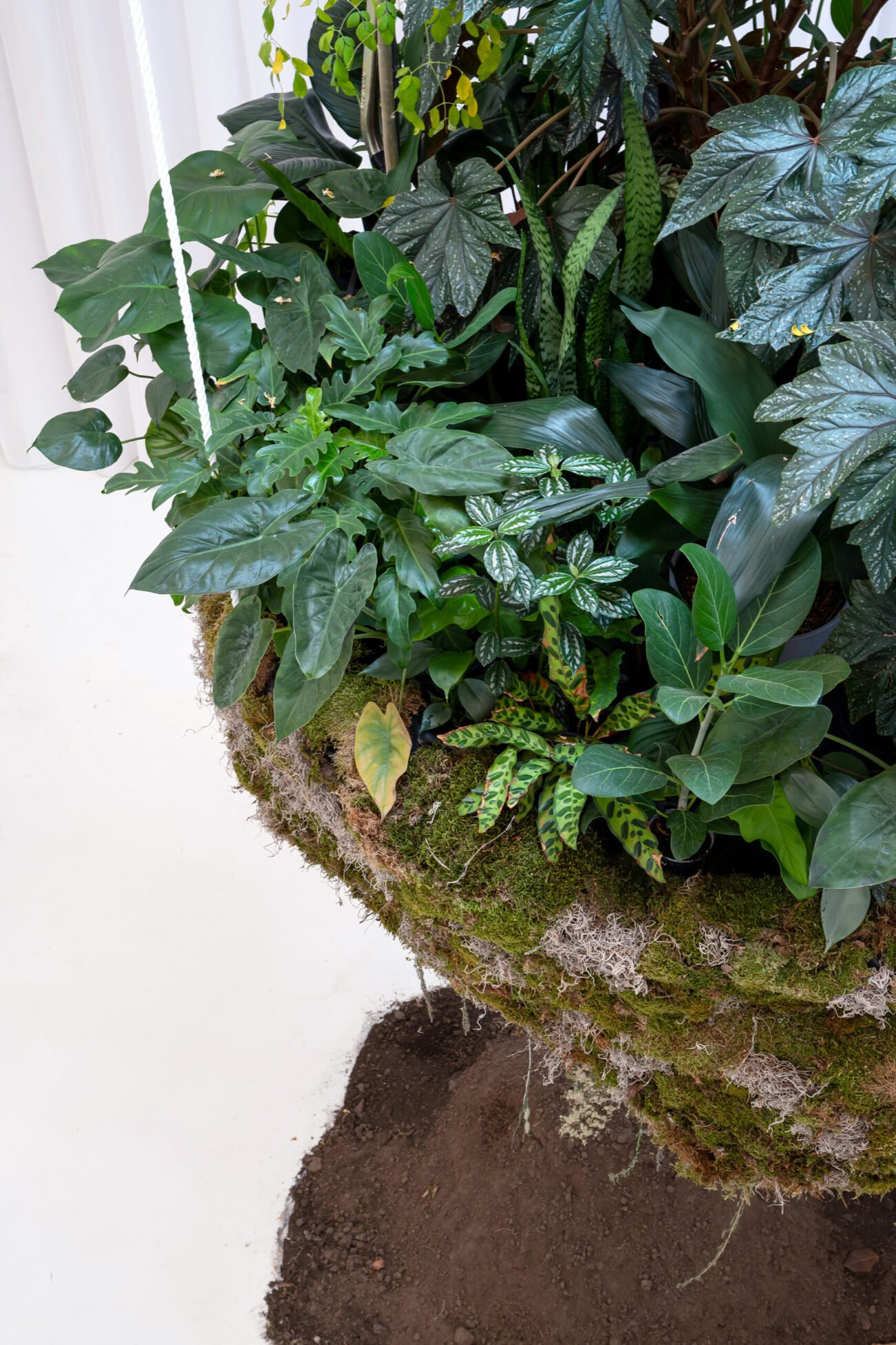 plant design concept