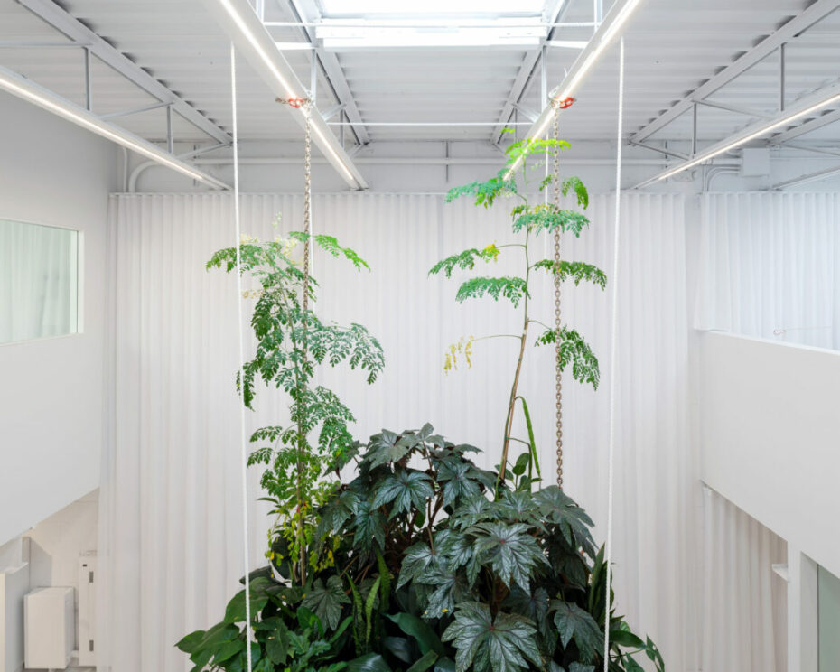 mason studio installation