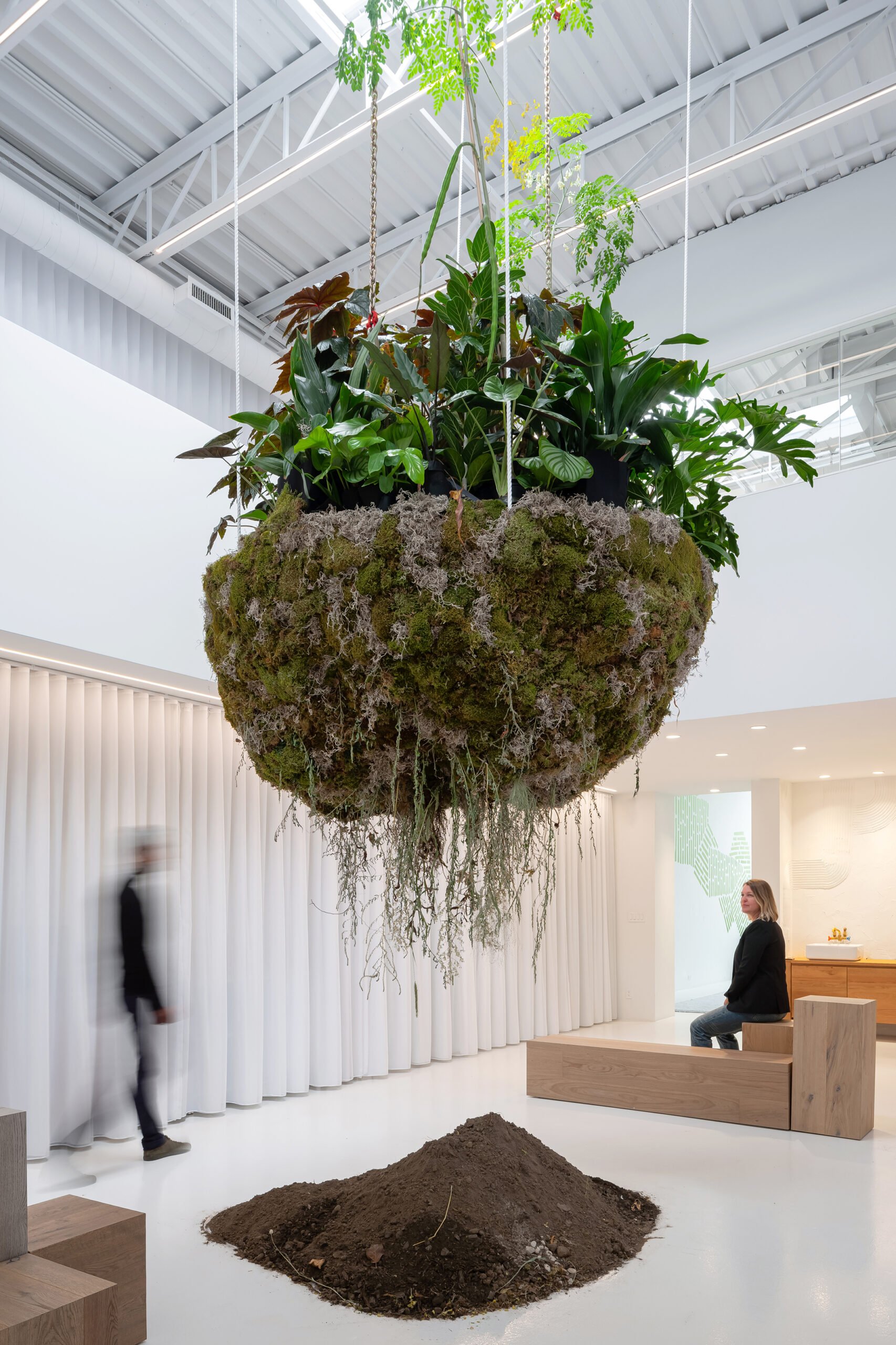 hanging plant installation