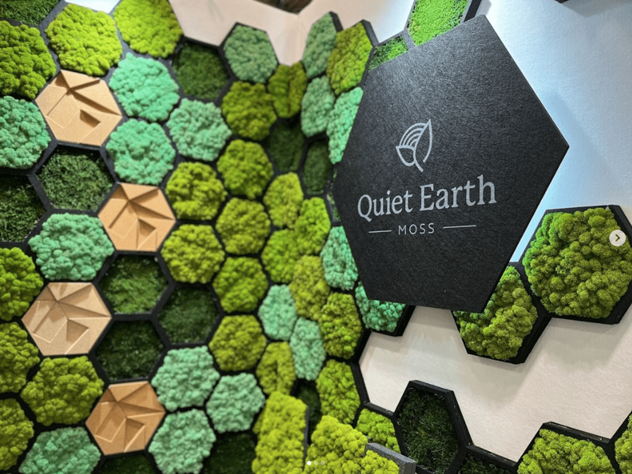 Quiet Earth Moss