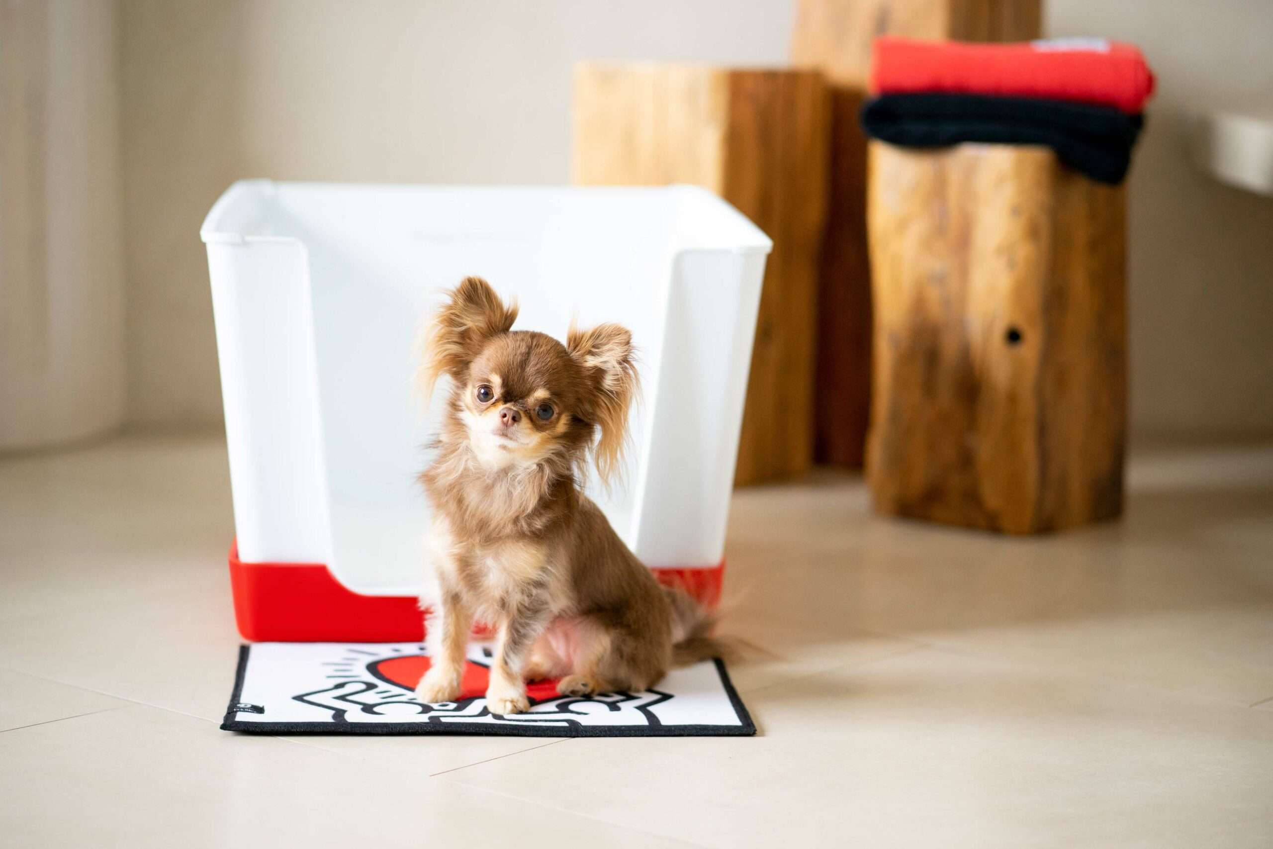 Designlines pet decor