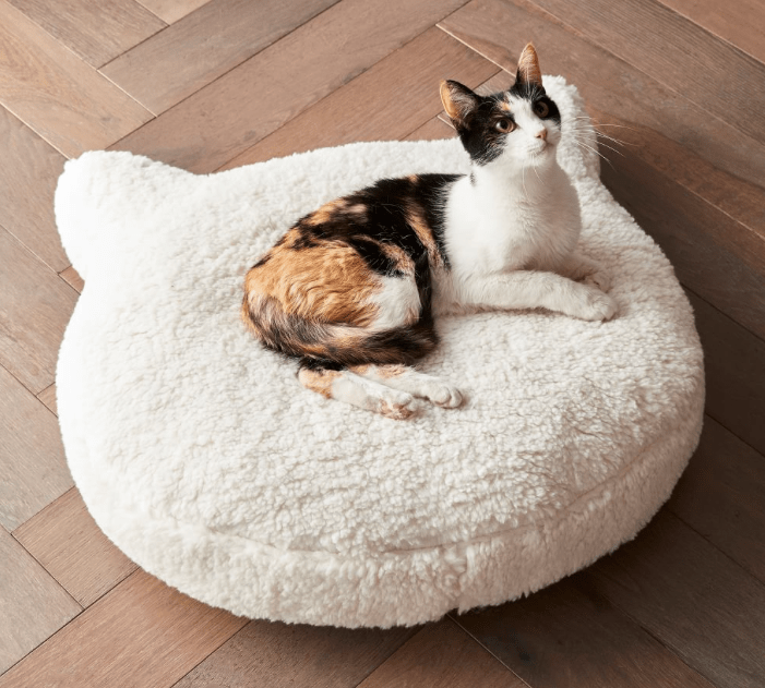 cat bed