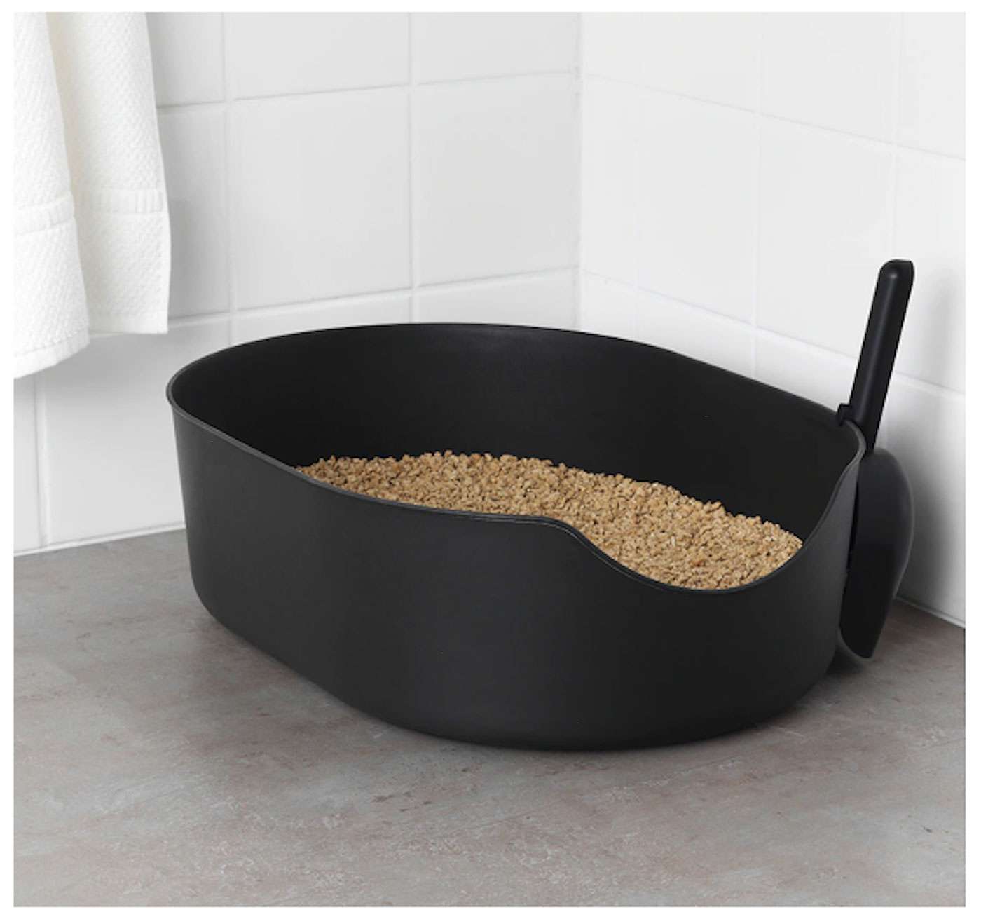 litter box