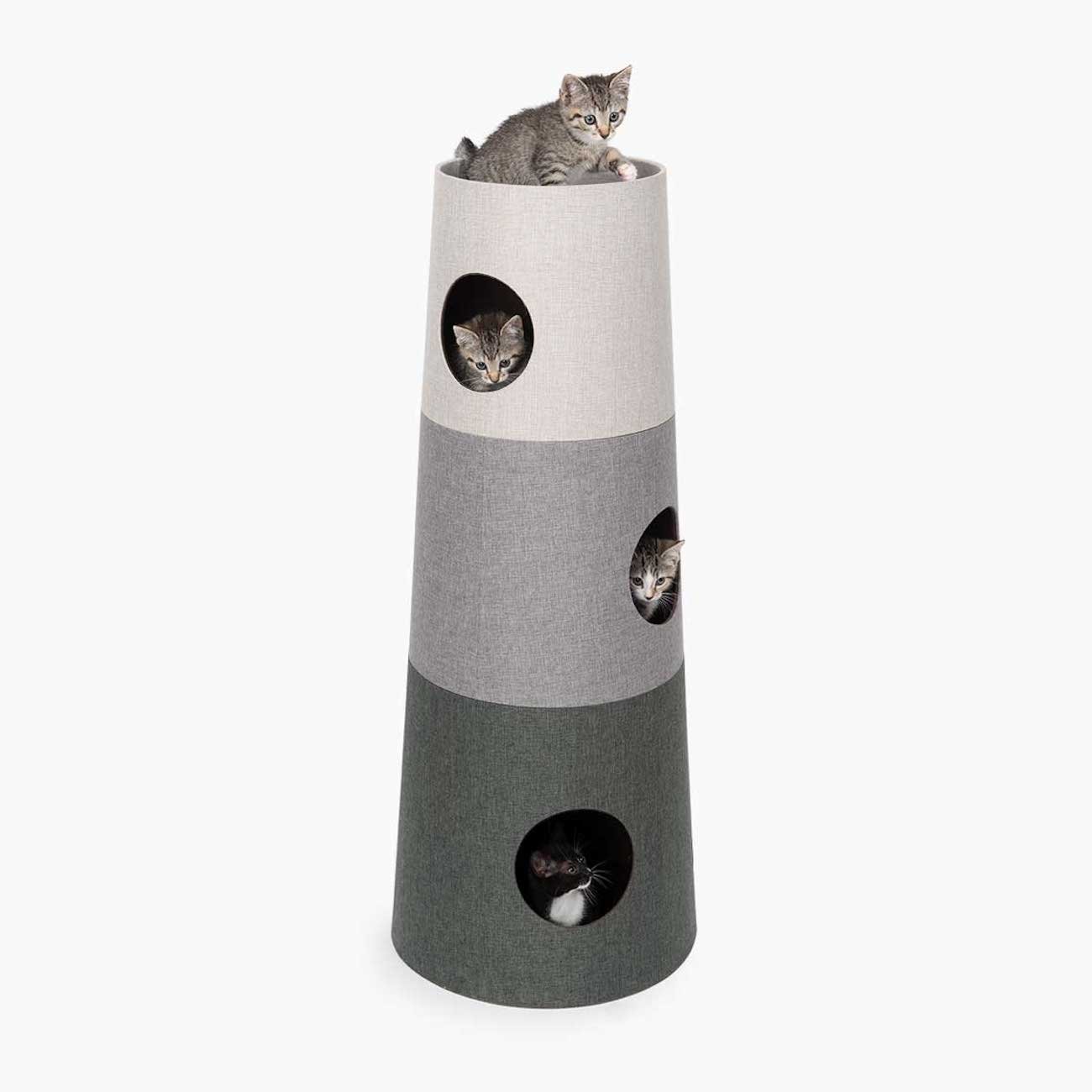 Storage for cat owners