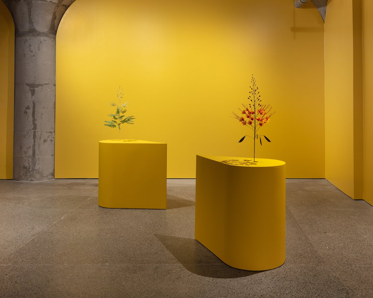 MOCA Toronto