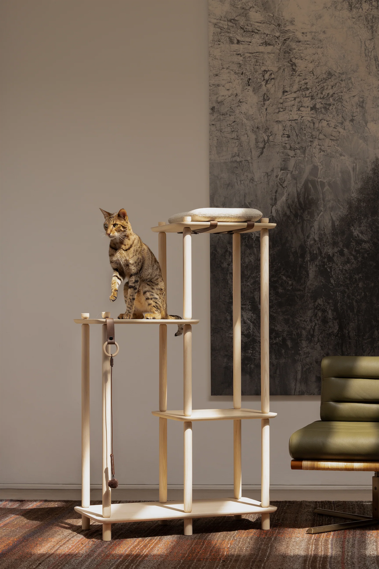 Toronto cat furniture