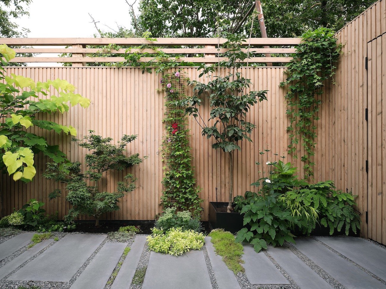 Reign Architects Little Italy