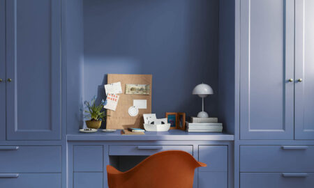 2024 Paint Report, Designlines Magazine