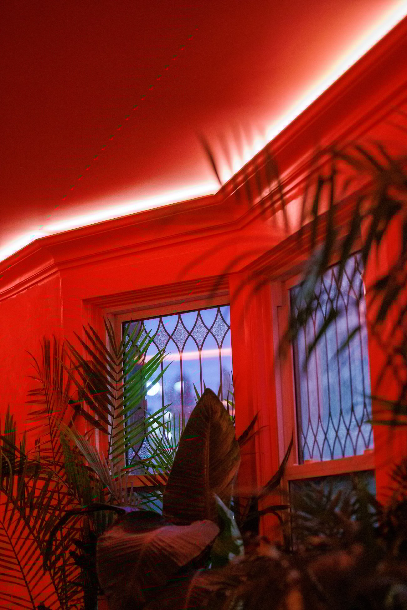 Le Tigre, Toronto Bars