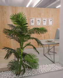 Modulo Shop, Carlaw Gallery