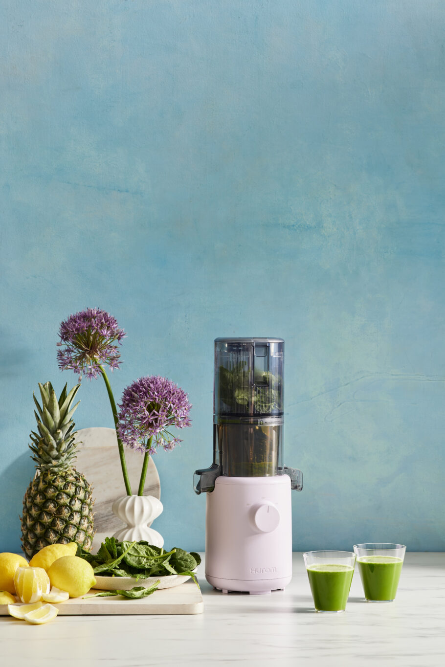 Hurom Juicer - H310 Slow Juicer