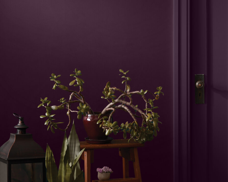 BeautiTone Canadian Paint Brand