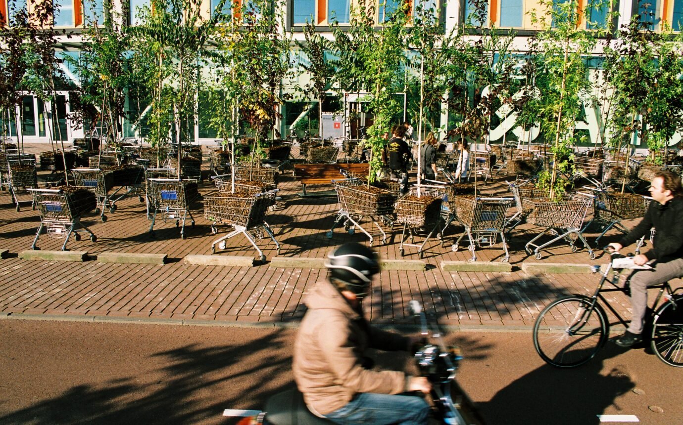 Person biking next to Moving Forest