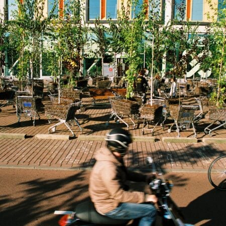 Person biking next to Moving Forest